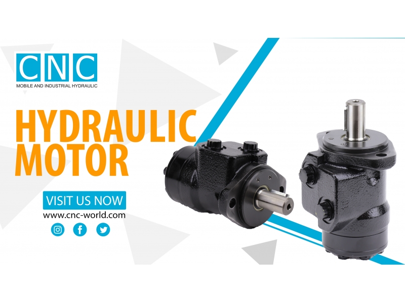 HYDRAULIC MOTOR