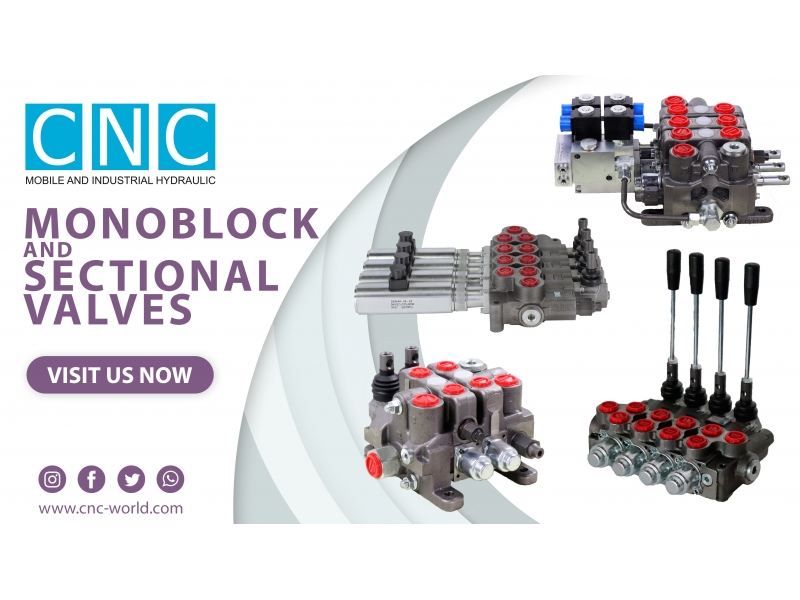 MONOBLOCK VALVES